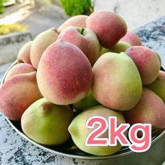 沖縄県産 【訳あり】完熟アップルミニマンゴー2kg - メルカリ