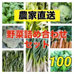 クール便対応‼️農家採りたて‼️野菜詰め合わせセット‼️新玉ねぎ入り