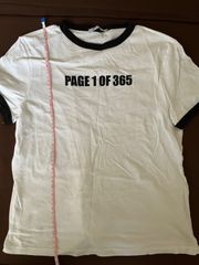 ZARA Tシャツ