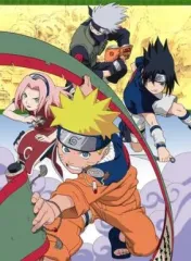 【中古】アニメDVD NARUTO -ナルト- 2nd STAGE 2004 巻ノ七