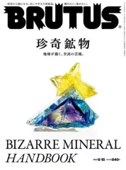 【中古】カルチャー雑誌 BRUTUS 2022年6月15日号