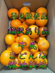 中島まどんな　超訳あり品