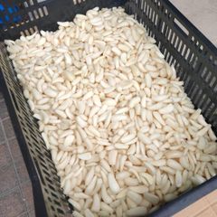 【訳あり】らっきょう 10kg 洗いらっきょう 鳥取 らっきょ 皮むき