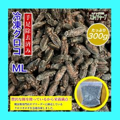 専用出品清潔コオロギ1.1kg 冷凍コオロギ　ＭＬサイズ　クロコオロギ　約1kg 清潔コオロギ1.1kg 冷凍コオロギ MLサイズ クロコオロギ