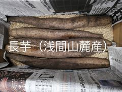 長芋（浅間山麓の高原野菜）4kg