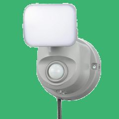 Item thumbnail for item 369dc505-dcc4-403a-ad88-111c8860fa8d