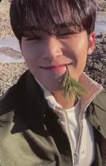 【中古】コレクションカード(男性) SEVENTEEN/MINGYU(ミンギュ)/裏面茶/CD「Face the Sun」(ep.4 Path)封入特典フォトカード