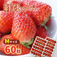 【期間限定 Mサイズ 60粒】紅ほっぺ フルーツ スイーツ イチゴ 苺 いちご 果物 生鮮 洋 fruit