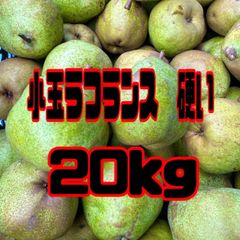 加工用　硬くて小さいラフランス　20kg