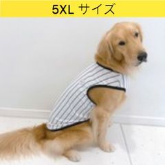 メルカリ 犬服 接触冷感 5XL 野球ユニフォーム Tシャツ ストライプ 中型犬 大型犬 ひんやり クール ベスト 熱中症対策 doggystar ドッギースター