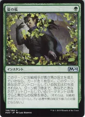2025年最新】夏の帳 mtgの人気アイテム - メルカリ