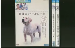 2025年最新】盲導犬クイールの一生 dvdの人気アイテム - メルカリ