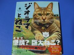 ★ジオラマとねこ★