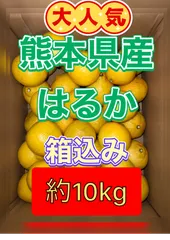 1091三ヶ日みかん クラピー・ミニクラ4個セット