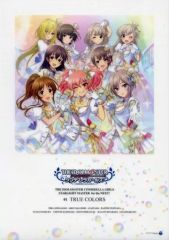 [중고] 클리어 포스터 B4 클리어 포스터 재킷 일러스트 [CD 아이돌 마스터 신데렐라 걸스 THE IDOLM @ STER CINDERELLA GIRLS STARLIGHT MASTER for the NEXT! 01 TRUE COLOR