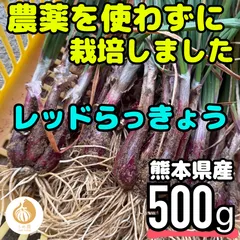 採れたて　赤らっきょう　5kg （箱込）農家直送Ａ 採れたて 赤らっきょう 5kg （箱込）農家直送 野菜