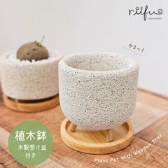 〚 植木鉢 + 木製受け皿付き 〛軽い鉢 塊根植物　コーデックス　観葉植物