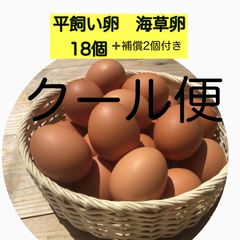 平飼い卵
