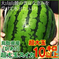 早期クーポンで10%OFF☆6月中下旬発送予定☆スイカ大玉1玉10kg以上(訳あり)鳥取県北栄町産(旧大栄町)農家指定果物すいか西瓜