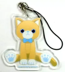 2025年最新】プリンスキャット アクアの人気アイテム - メルカリ