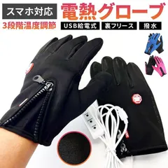 電熱手袋 ヒーター付き USB給電式 3段階温度調節 スマホ対応 男女兼用 裏フリース 撥水 ホットグローブ 電熱グローブ 配色 柔らかい ファスナー付き 2way グローブ 手袋 fpfo949