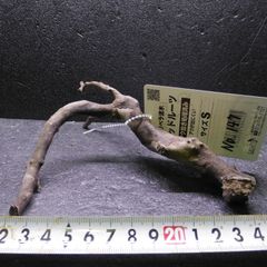 枝流木　リベラ　ウッドルーツＳ　1点物　No.147　天然　デルフィス　アク抜き済み　レイアウト　アクアリウム　RIVERA