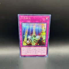 【極美品】伝説の白き龍　エクストラシークレット　最終値下げ 状態A-〕伝説の白き龍【エクストラシークレット】{EP13-JP051