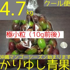 クール便　摘果マンゴー　グリーンマンゴー　18kg 51I2gta4Z0L._UF350,350_QL50_.jpg