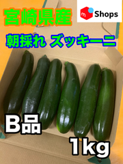 宮崎県産 ハウス栽培 朝採れ ズッキーニ 1キロ B品 宅急便コンパクト 美肌効果 免疫力アップ 便秘解消 血圧対策 ダイエット