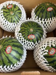 こだますいか Lサイズ 5個 箱込9.7キロ程度 千葉県産