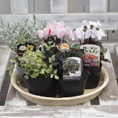 mom様専用ページ - メルカリ