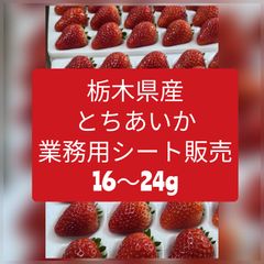 クール便配送】とちあいか 【規格外・訳あり】約1.5kgx2箱