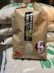 2025年愛媛県産奥伊予の「山麓米」(虹のきらめき)5kg 202510.9精米