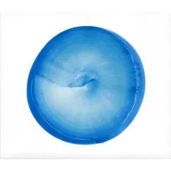 Amazon.co.jp: いかれた BABY (7インチシングルレコード