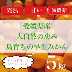 愛媛　瀬戸内　島育ち　木なり完熟　甘い　みかん　5kg（箱込み）