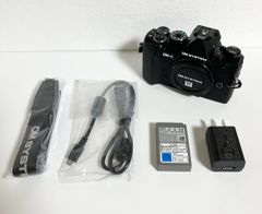 高額メイン基板交換済】オリンパスOM-D E-M1 Mark IIセット - メルカリ