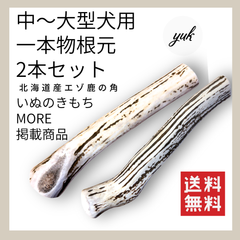 【匿名配送】中〜大型犬用　一本物　根元2本セット　鹿の角　犬のおもちゃ　鹿の骨　E