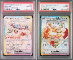 【PSA10】 2連番 イーブイex SAR テラスタルフェスex