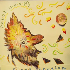 英12” Peter Murphy Final Solution / The Answer Is Clear (Version) BEG143TP BEGGARS BANQUET /00260