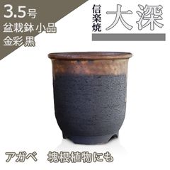 【未使用】盆栽鉢 3.5号 大深 金彩 黒 信楽焼 山野草 観葉植物 アガベ 塊根 コーデックス サボテン 陶器 小品 小さい 深め 懸崖 約10.5センチ 苔 植木鉢 おしゃれうめきち盆栽用品店