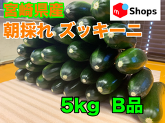 宮崎県産 ハウス栽培 朝採れ ズッキーニ 5キロ B品 美肌効果 免疫力アップ 便秘解消 血圧対策 ダイエット