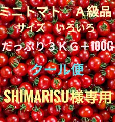 shimarisu様専用　ミニトマト　３kg＋100g