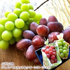 シャインマスカット クイーンルージュ レッドシャイン お中元 暑中お見舞い 残暑お見舞い [シャイン＆ルージュ] 冷蔵便 クール便