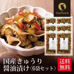 【6個セット】日本橋いなば園 国産きゅうり醤油漬け 100g ネコポス メール便送料無料