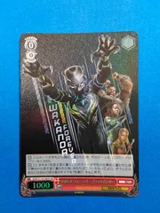 2025年最新】ブラックパンサ ヴァイスの人気アイテム - メルカリ