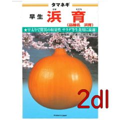 カネコ種苗　浜育　玉葱　２ｄｌ
