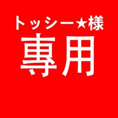 トッシー★様専用