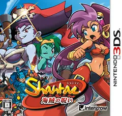 シャンティ -海賊の呪い- 3DS 日付時間指定不可