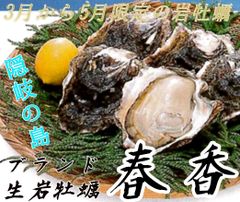 隠岐海士町産岩牡蠣「春香」 L（440g）5個