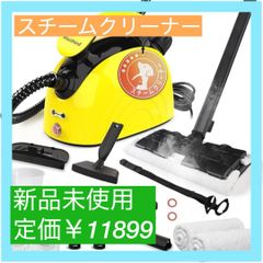 大特価】スチームクリーナー、21ピースアクセサリーセット付き